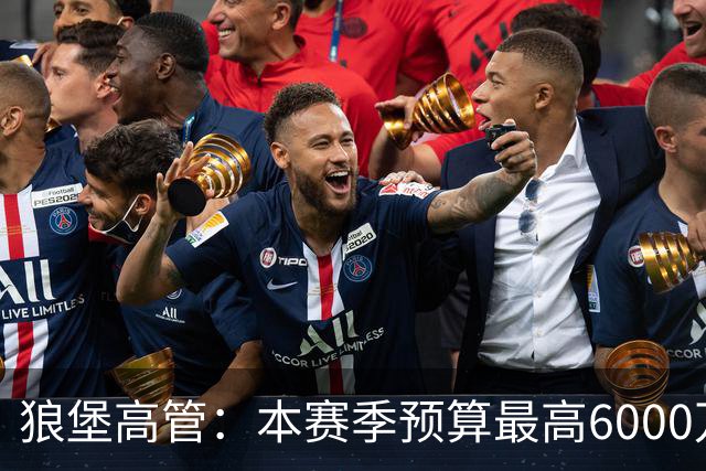 狼堡高管：本赛季预算最高6000万欧，力争完成在德乙的目标